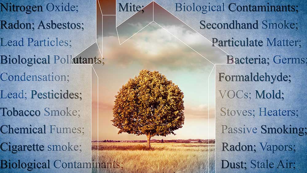 The Importance of Air Quality: How HVAC Systems Can Keep You Healthy