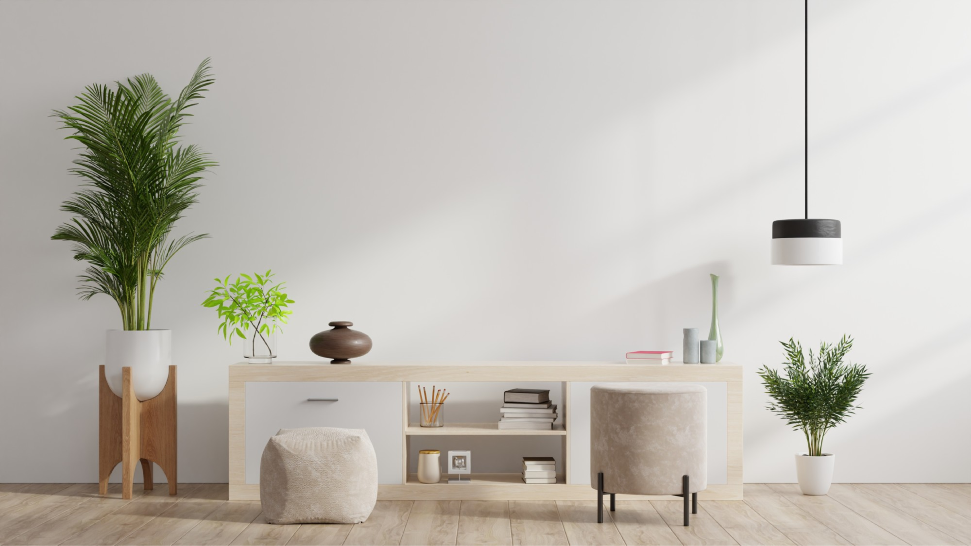 What re the different types of plants for home decor