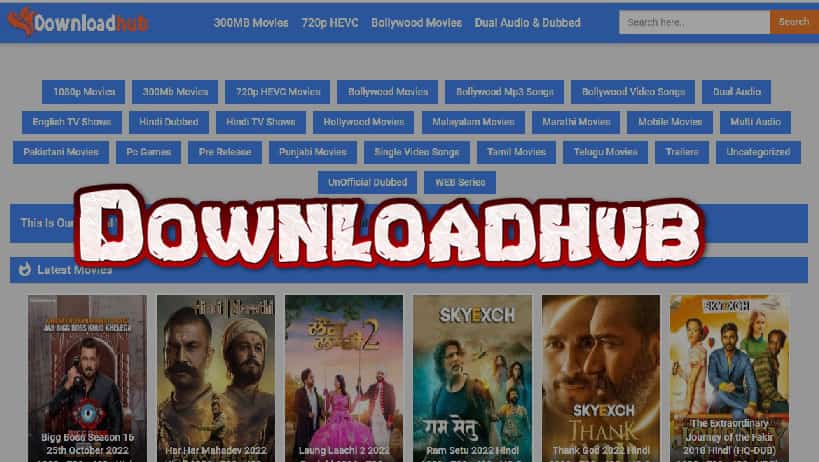 Downloadhub 300MB Dual Audio Hollywood Bollywood Tamil Telugu Kannada Movies Download