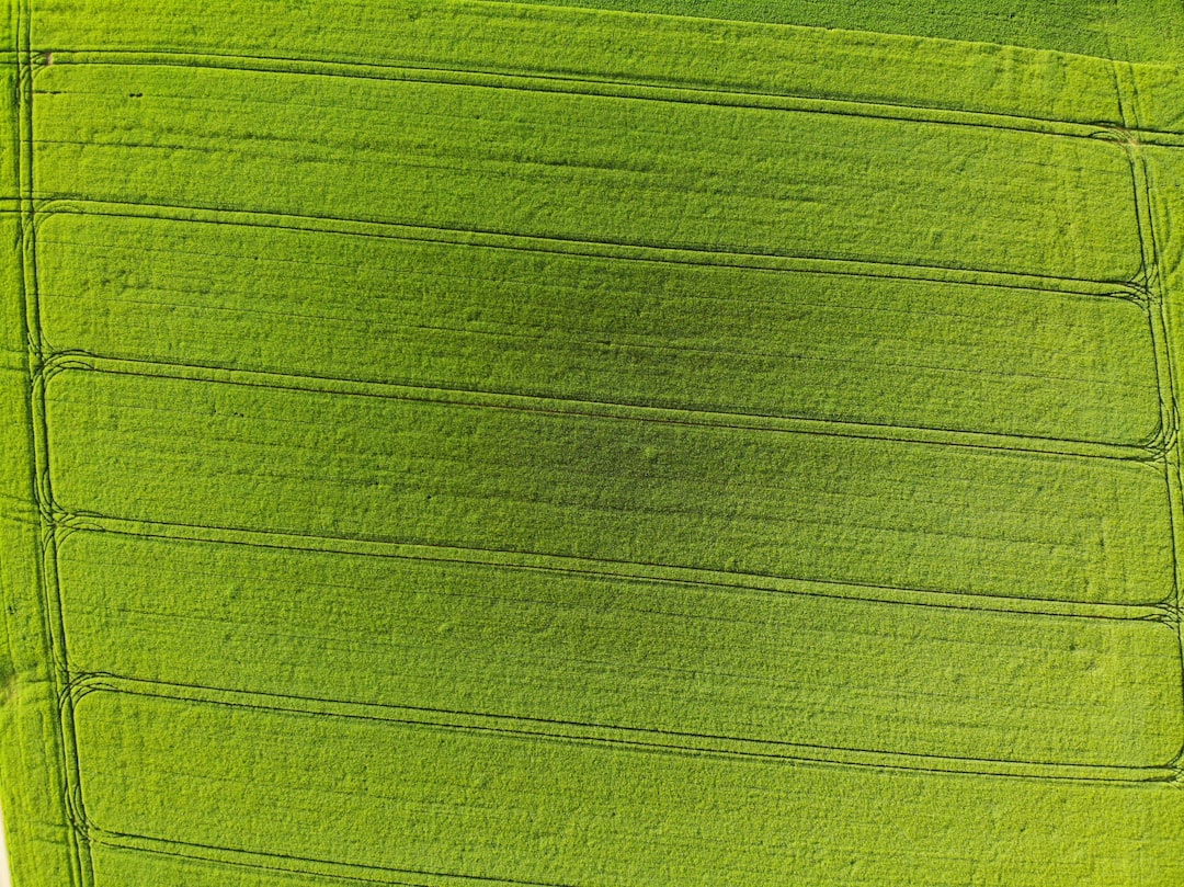 Get Cozy in a Pickle Sweatshirt