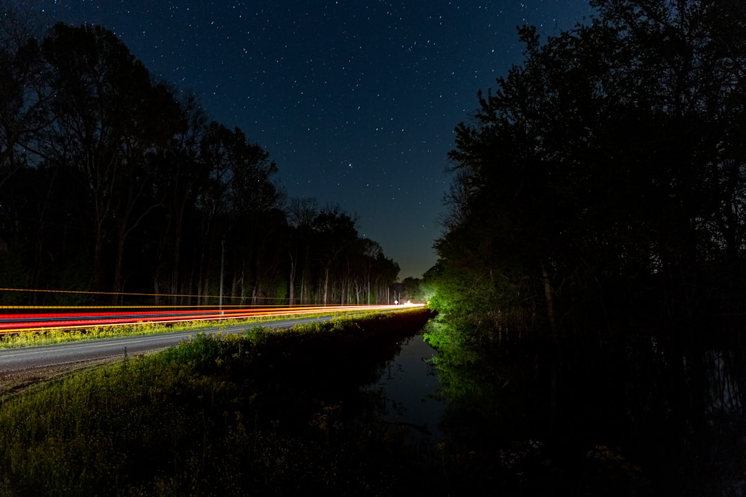 Unlocking Business Opportunities: Mississippi Secretary of State Business Search