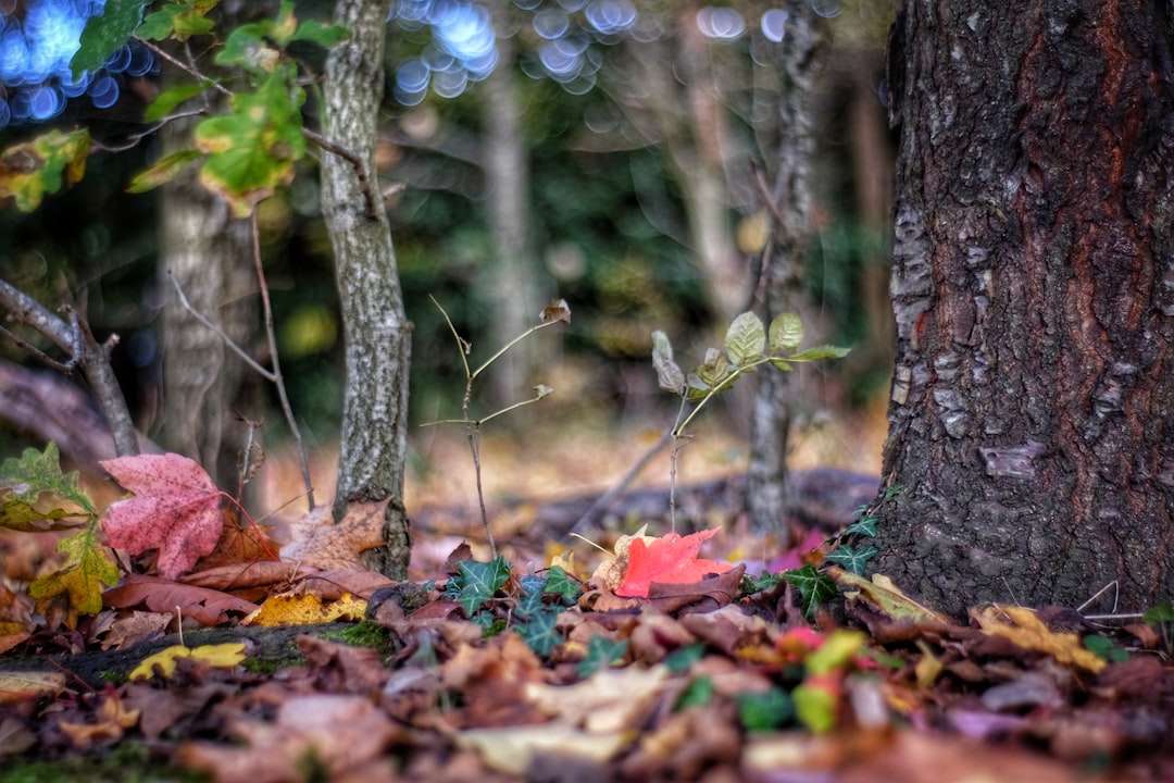 Uncovering the Secret Life of Chipmunks Through Their Poop