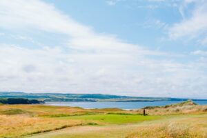 Indulge in the Irresistible Cruller Donut